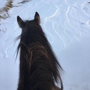 Meet your Posher, Laura